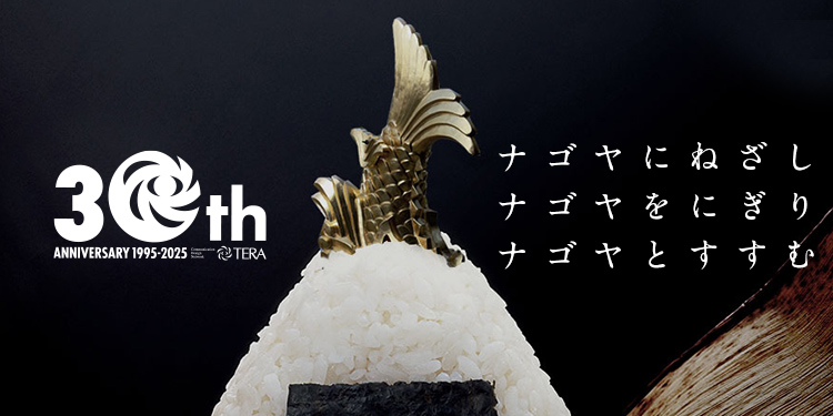 30th Anniversary TERA