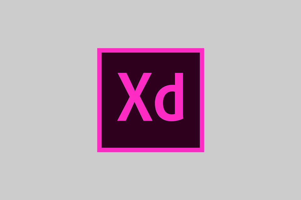 Adobe XD 社内勉強会の様子をレポート！